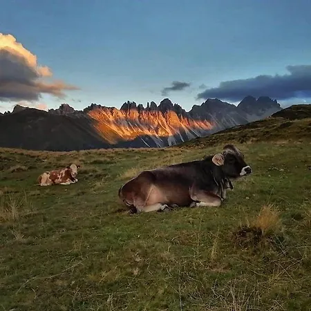 Sofi - Enjoy The View - Axams,innsbruck Tirol Appartement *
