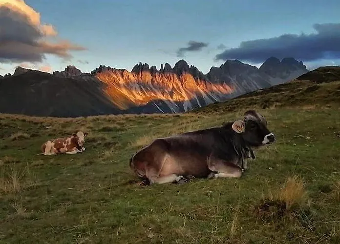 Sofi - Enjoy The View - Axams,innsbruck Tirol Appartement *